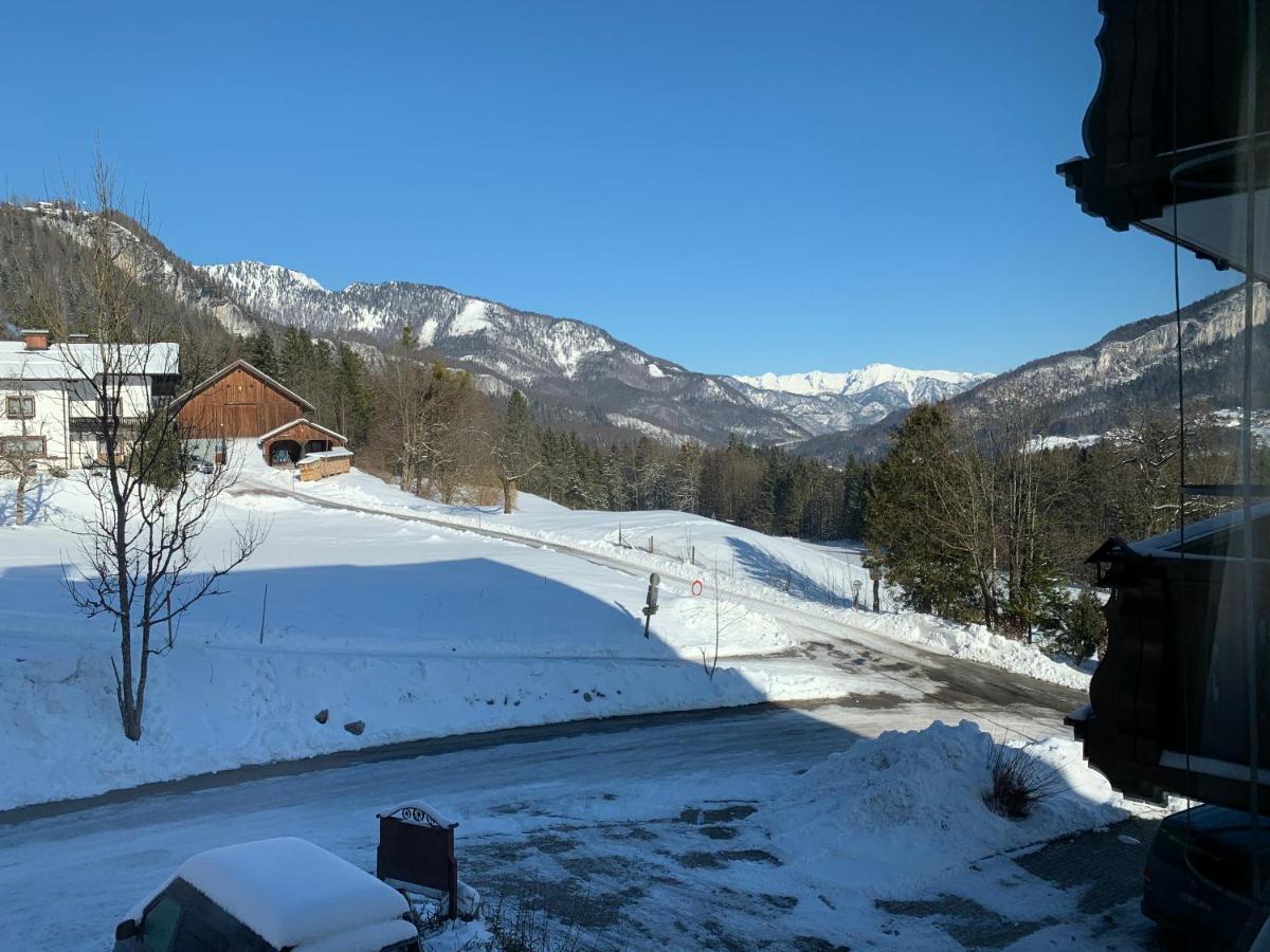 Alpenblick Apartment Bad Goisern